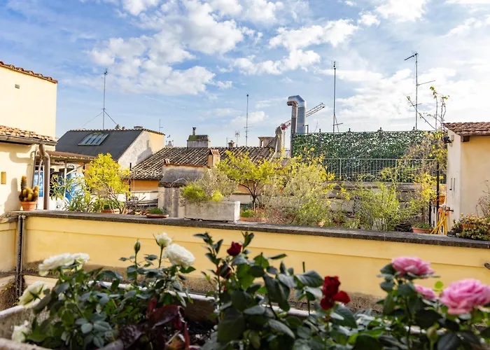 Migliori Collection Attico